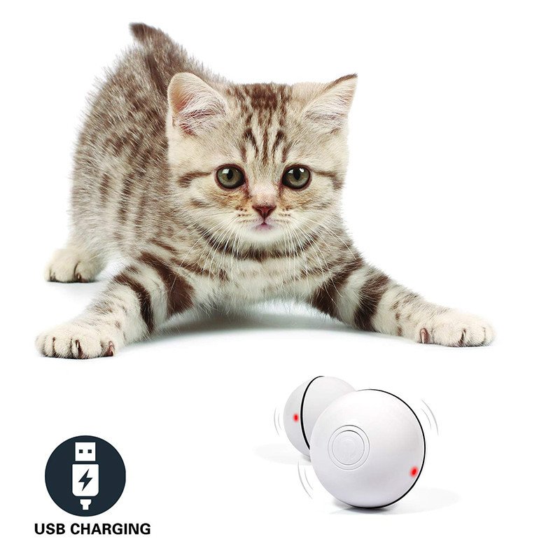 LED Laser Electronic Rolling Pet Funny Cat Toy Ball - Image 8