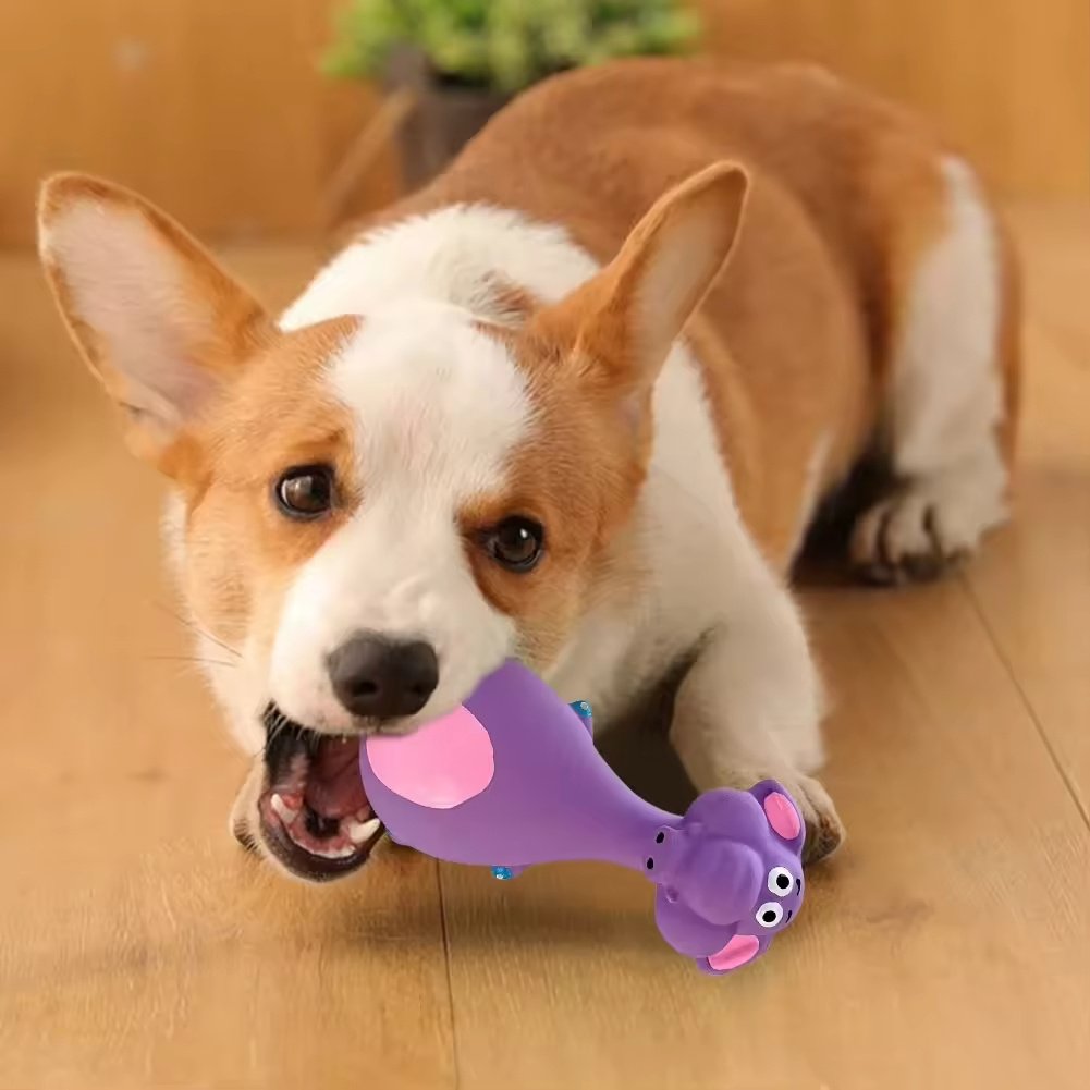 4pcs Cute Latex Dog Chew Toys With Sound, Interactive Biting Toys For Dental Health, Puppy Teething Pet Supplies - Image 3